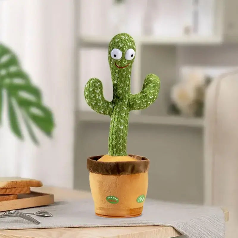 Cactus dansant - Maternitesolution
