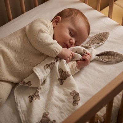 Doudou bebe  dormant profondement avec un doudou bebe lapin rose dans un lit à barreaux.
