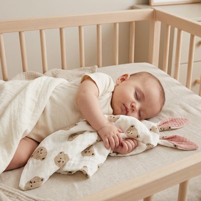 Doudou bebe  dormant paisiblement avec un doudou bebe lapin rose dans un lit à barreaux.