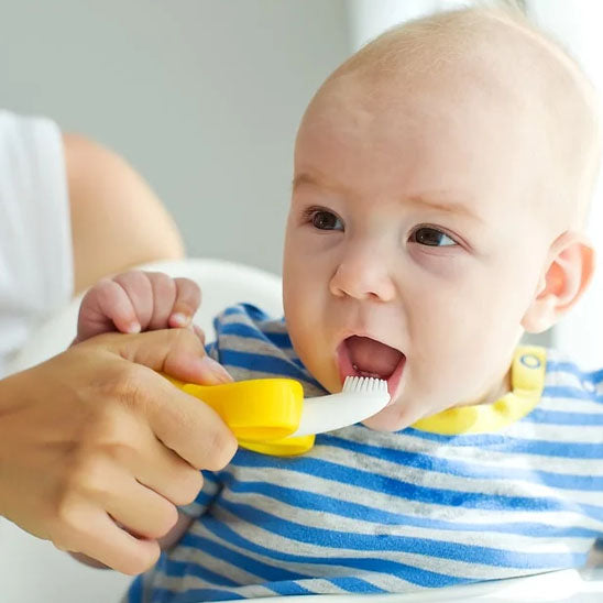 Anneau de Dentition Bébé| Training Toothbrush